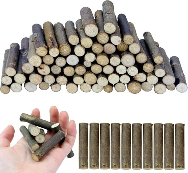 FSWCCK 100 PCS Craft Sticks, 2 Inch Natural Birch Twigs Sticks, Mini Wood Log for DIY Crafts