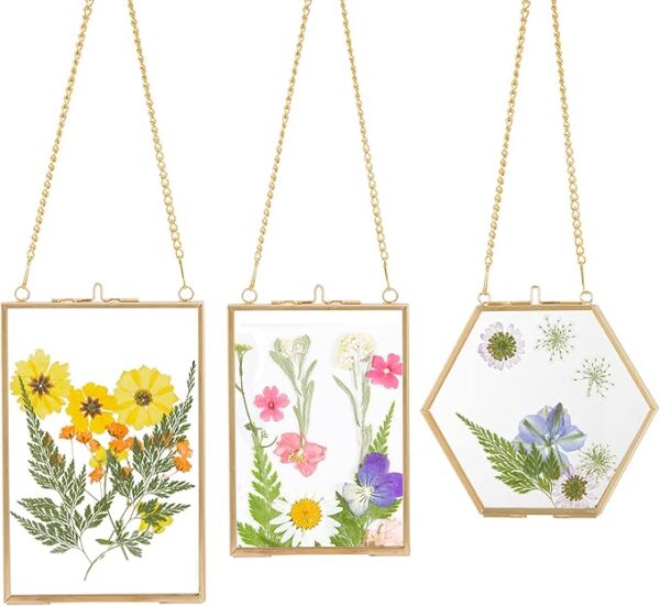 Apipi 3 Packs Pressed Flowers Glass Frames - Golden Hanging Glass Picture Frames in 3 Sizes